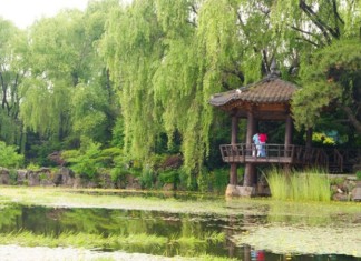파주 벽초지 수목원: 아름다운 자연경관과 화려한 꽃들로 가득한 힐링 스팟