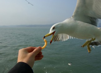 서해의 섬 신도, 시도, 모도로 떠난 가족여행: 인천 섬 여행의 즐거운 추억과 환상적인 경치